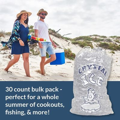 congélateur plastique cube de glace sac en plastique personnalisé durable réutilisable