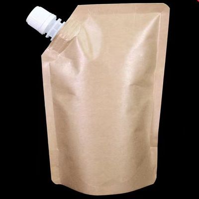 Sacoche à bouteille debout pour la crème cosmétique liquide papier kraft plastique matériau de stratification