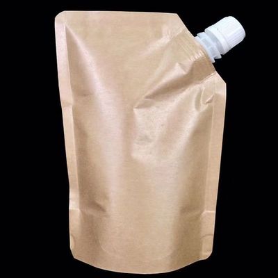 Sacoche à bouteille debout pour la crème cosmétique liquide papier kraft plastique matériau de stratification