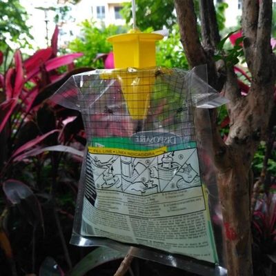 Taille personnalisée attrape-mouches en PVC Cage à mouches pour le contrôle des mouches dans n'importe quel environnement