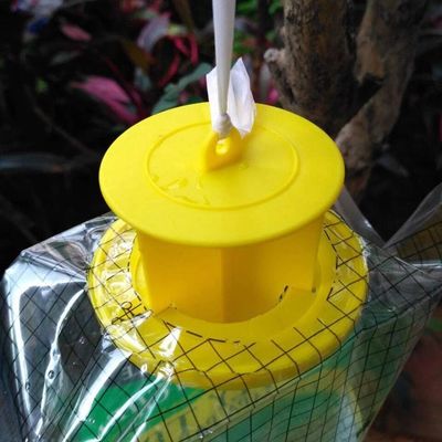 Taille personnalisée attrape-mouches en PVC Cage à mouches pour le contrôle des mouches dans n'importe quel environnement