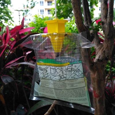 Taille personnalisée attrape-mouches en PVC Cage à mouches pour le contrôle des mouches dans n'importe quel environnement