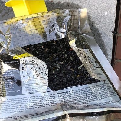 Taille personnalisée attrape-mouches en PVC Cage à mouches pour le contrôle des mouches dans n'importe quel environnement