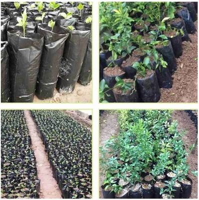 Sac en plastique pour jardiniers, végétaux, fruits, légumes et fleurs