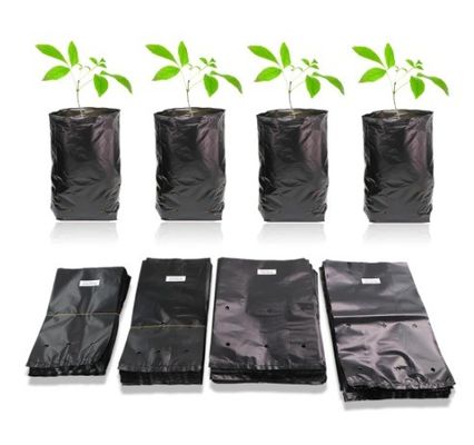 Sac en plastique pour jardiniers, végétaux, fruits, légumes et fleurs
