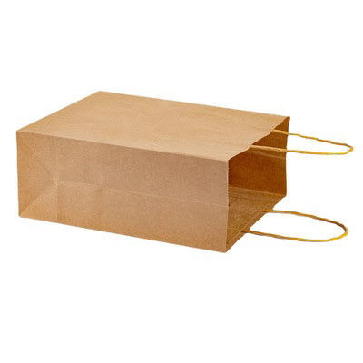 Flexiloop Manche Logo personnalisé Accepté Sacs en papier Kraft pour acheter des cadeaux en boutique