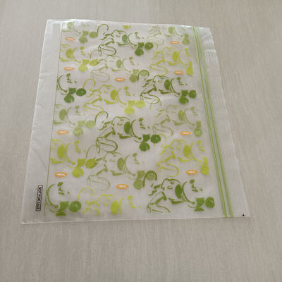 Sac à fermeture à glissière double en plastique Sandwich Fermeture à glissière en PE congélateur re-fermé Sacs de stockage de fruits
