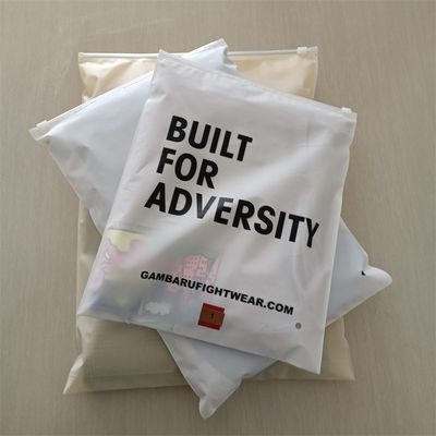 Personnaliser n'importe quelle couleur Polybags à l'épreuve de l'humidité pour les chaussures et les vêtements sac fermeture à glissière gelé