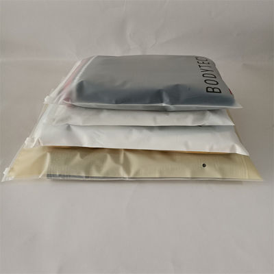 Personnaliser n'importe quelle couleur Polybags à l'épreuve de l'humidité pour les chaussures et les vêtements sac fermeture à glissière gelé