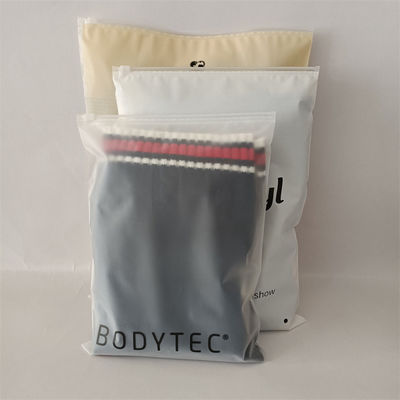 Personnaliser n'importe quelle couleur Polybags à l'épreuve de l'humidité pour les chaussures et les vêtements sac fermeture à glissière gelé