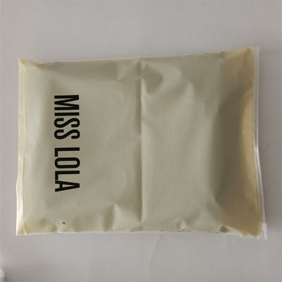 Personnaliser n'importe quelle couleur Polybags à l'épreuve de l'humidité pour les chaussures et les vêtements sac fermeture à glissière gelé
