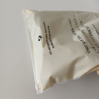 Personnaliser n'importe quelle couleur Polybags à l'épreuve de l'humidité pour les chaussures et les vêtements sac fermeture à glissière gelé