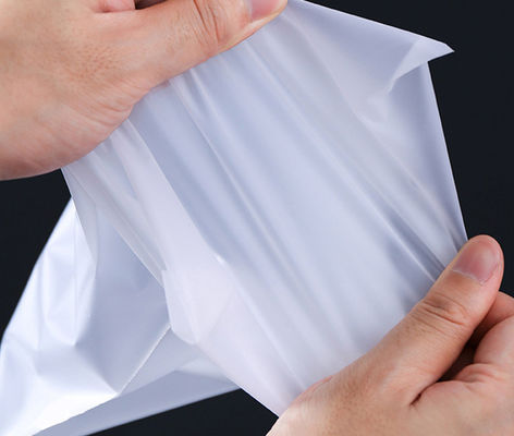 Sacs d'emballage à fermeture à glissière en plastique écologique pour les vêtements 0,08 mm poussiéreux sur mesure